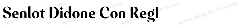 Senlot Didone Con RegI字体转换